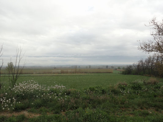 Gallur - Kanal Imperial de Aragon