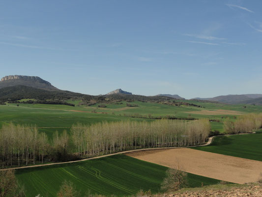 Genevilla