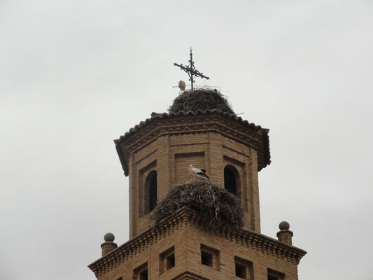Torres de Berrellen - Iglesia San Andres