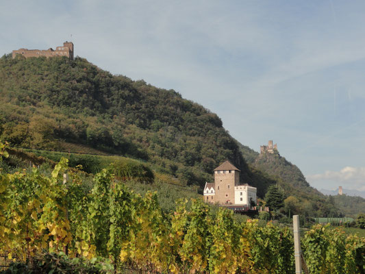 Schlösser und Burgen (v.l.n.r) Boymont - Korb - Hocheppan - Kreideturm