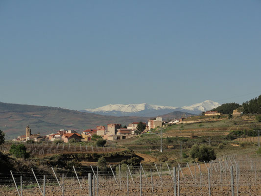 Lapuebla de Labarca
