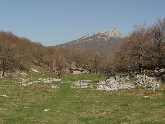Azkasaroi