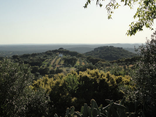 Évoramonte - Aussicht vom Burghügel