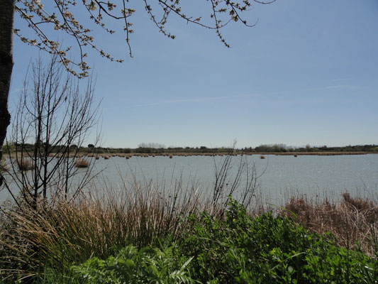 Laguardia - Laguna del Prado de la Paúl