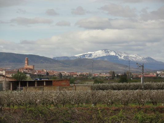 Aldenueva de Ebro