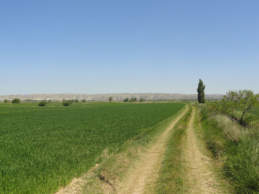Fuentes de Ebro