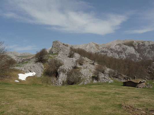 Urbia