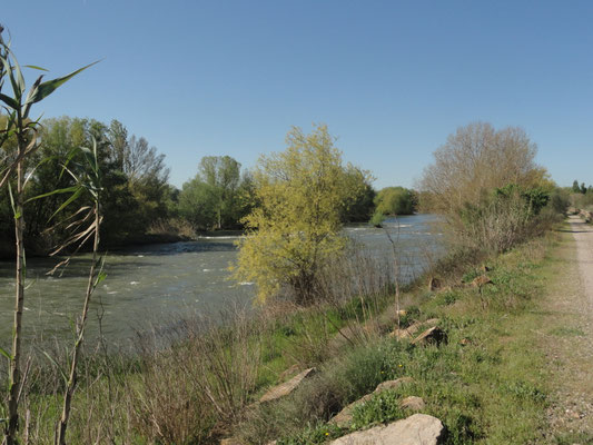Lleida Lerida - Rio Segre