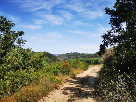 Wanderweg auf früherem Trassee der Corgo-Bahn kurz nach Alvações do Corgo