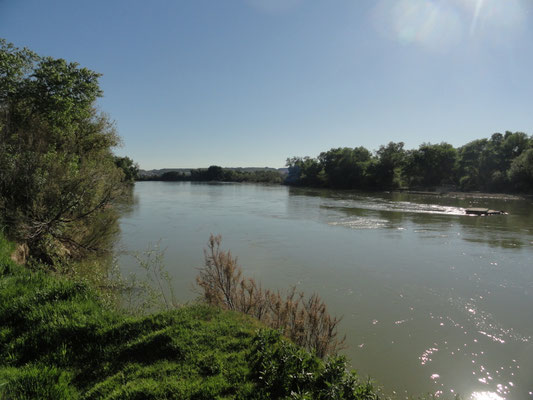 Pina de Ebro