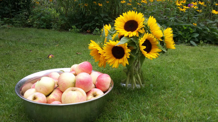 Herbstliches Stillleben
