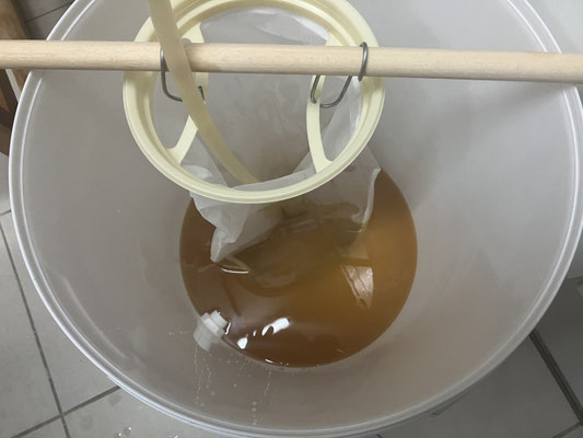 Die abgekühlte Würze fließt durch einen Filter in den Gäreimer