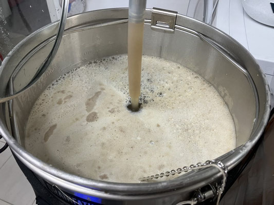 Erhitzen des Suds nach dem Abmaischen und Vorderwürzehopfung (Bitterhopfen)