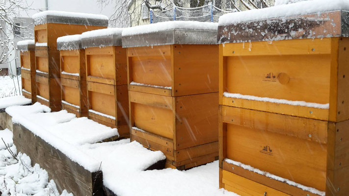Winterruhe
