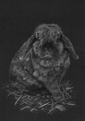 Bruin konijn in stro (Wit potlood, houtskool op zwart papier)