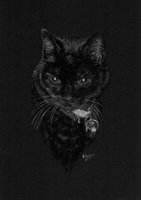 Zwarte kat (Wit potlood, houtskool op zwart papier)