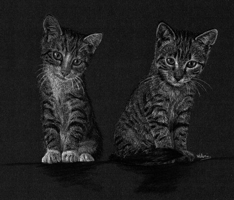 Two tiger kittens (Wit potlood, houtskool op zwart papier)