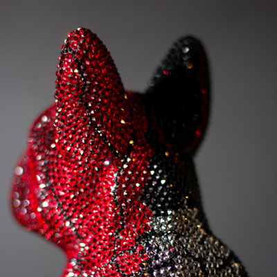 FRENCH BRUNO / RUBIO