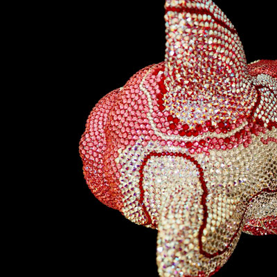 FRENCH BRUNO / GRACIANO