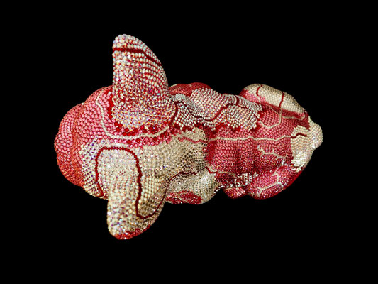 FRENCH BRUNO / GRACIANO