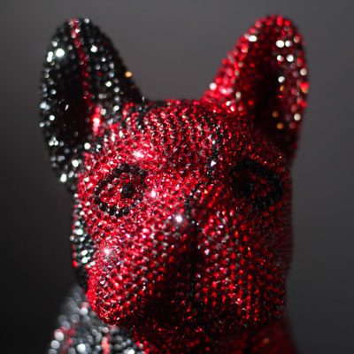 FRENCH BRUNO / RUBIO