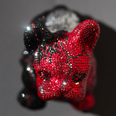 FRENCH BRUNO / RUBIO