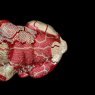 FRENCH BRUNO / GRACIANO