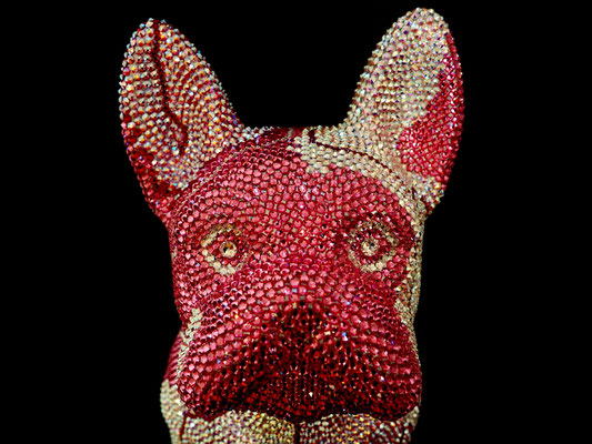 FRENCH BRUNO / GRACIANO