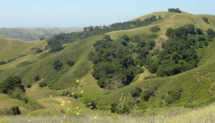 State Road 46, California