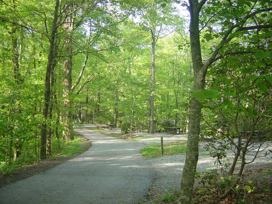 Campground des Black Rock Mountain State Parks