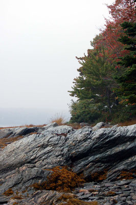 Lamoine State Park