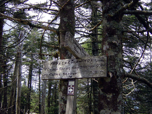 Clingmans Dome Trail