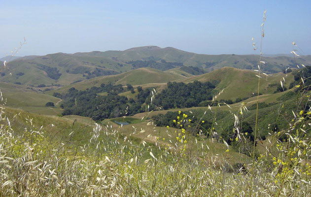 State Road 46, California