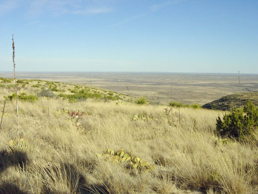 Carlsbad Caverns National Park