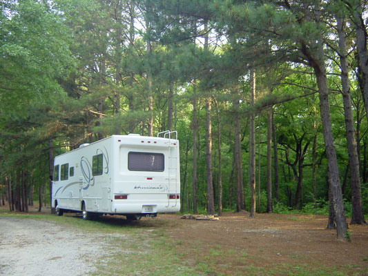 Charlie Elliott Wildlife Refuge