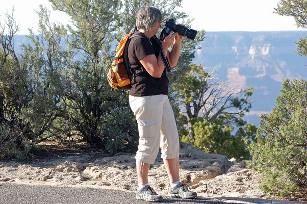 Herwiga, Grand Canyon