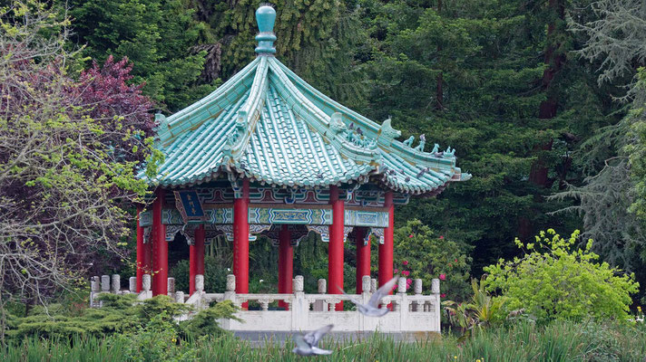 Golden Gate Park (Stow Lake), San Francisco