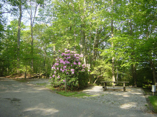 Campground des Black Rock Mountain State Parks