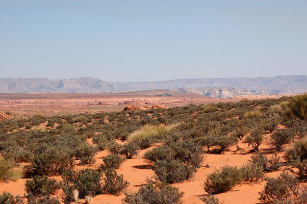 Horseshoe Bend Observation Area