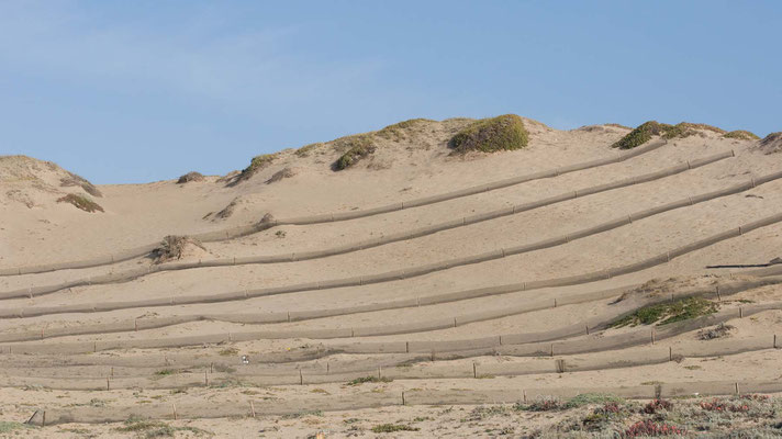 Marina Dunes Preserve, Montery Bay, California