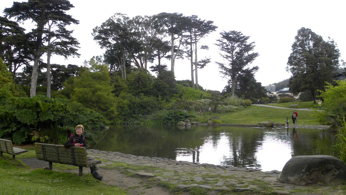 Golden Gate Park, San Francisco