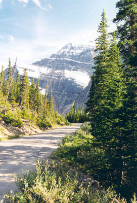Straße zwischen Medicine Lake und Maligne Lake