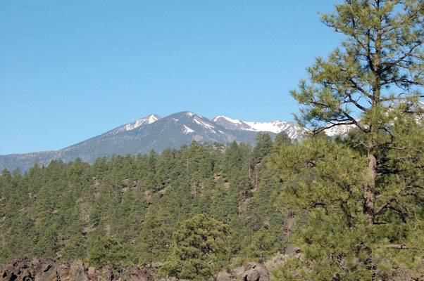 Blick vom Bonito Lava Flow auf den schneebedeckten Humphreys Peak