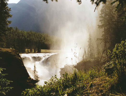 Athabasca Falls