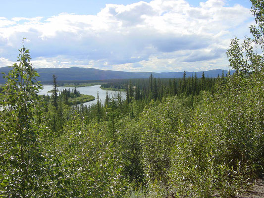 Yukon-Kuskokwim-Delta, Carmarcks