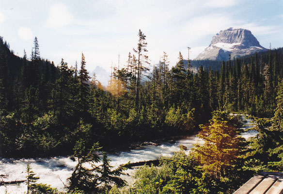 Takakkaw River 