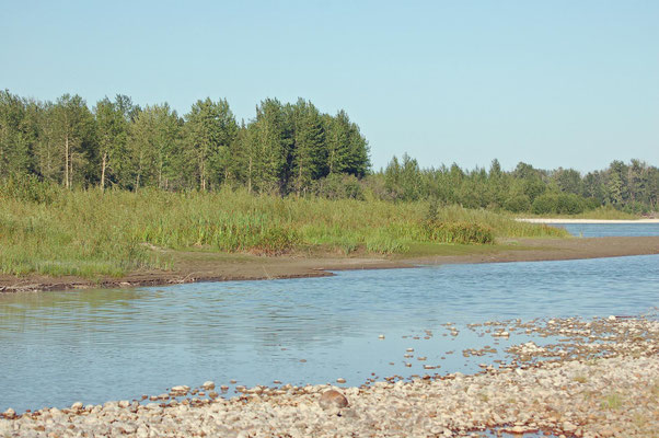 Athabasca River
