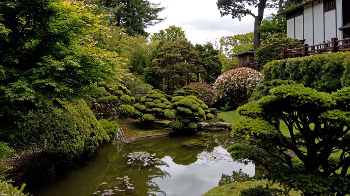 Golden Gate Park (Japanischer Garten), San Francisco