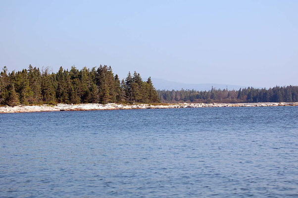 Wonder Land, Acadia