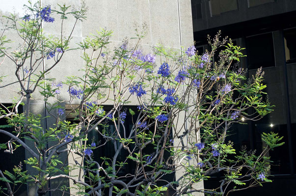 Westin Bonaventure Hotel, Los Angeles